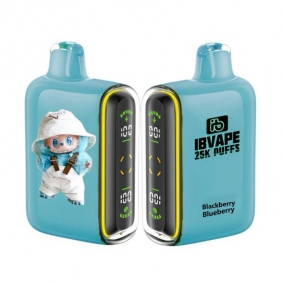 Jednorázová E-cigareta 25 000 Puffs - Ostružina & Borůvka